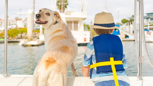 Ahoy There, Mateys! Safe and Pawsome Boating Adventures with Your Canine Co-Pilot & Lazy Dog Loungers