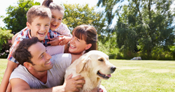 The Hidden Heat Risks Every Dog Parent Overlooks in Summer