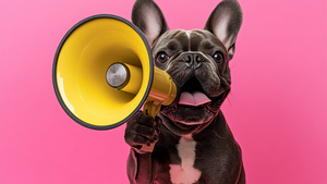 What If Your Dog Could Talk? Here's What They’d Say About Pool Days
