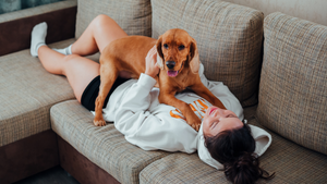 🐶💤 Why Dogs Need Downtime Too (And How Floating Helps Them Reset)