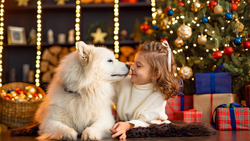 Why Lazy Dog Loungers® Are the Ultimate Christmas Surprise for Your Pup