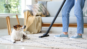Cleaning Up Your Pup's Act: Easy and Effective Dog Bed Maintenance Tips