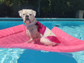Lazy Dog Lounger Water Raft