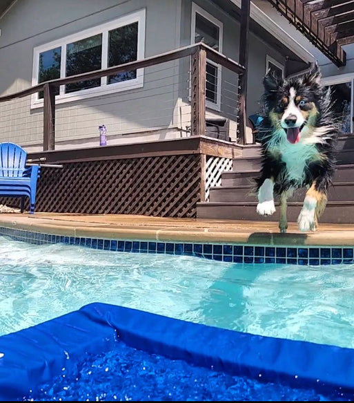 Lazy Dog Lounger Water Raft Lazy Dog Loungers