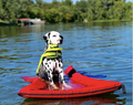 Lazy Dog Lounger Water Raft