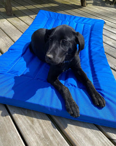 Lazy Dog Lounger Water Raft Lazy Dog Loungers