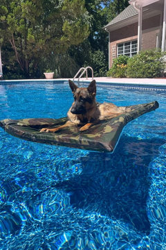 Lazy Dog Lounger Water Raft – Lazy Dog Loungers