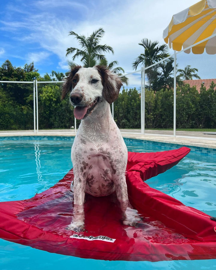 Lazy Dog Lounger Water Raft Lazy Dog Loungers