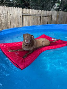 Dog Floating Pool Entry Mat 